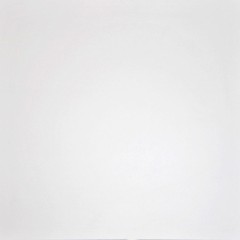 Плитка G-100/LR/600x600x10 (1,44 кв.м.)